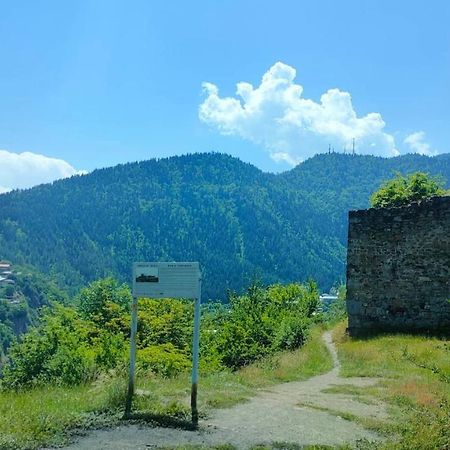 Guest House Gogias Cixe Borjomi Eksteriør billede