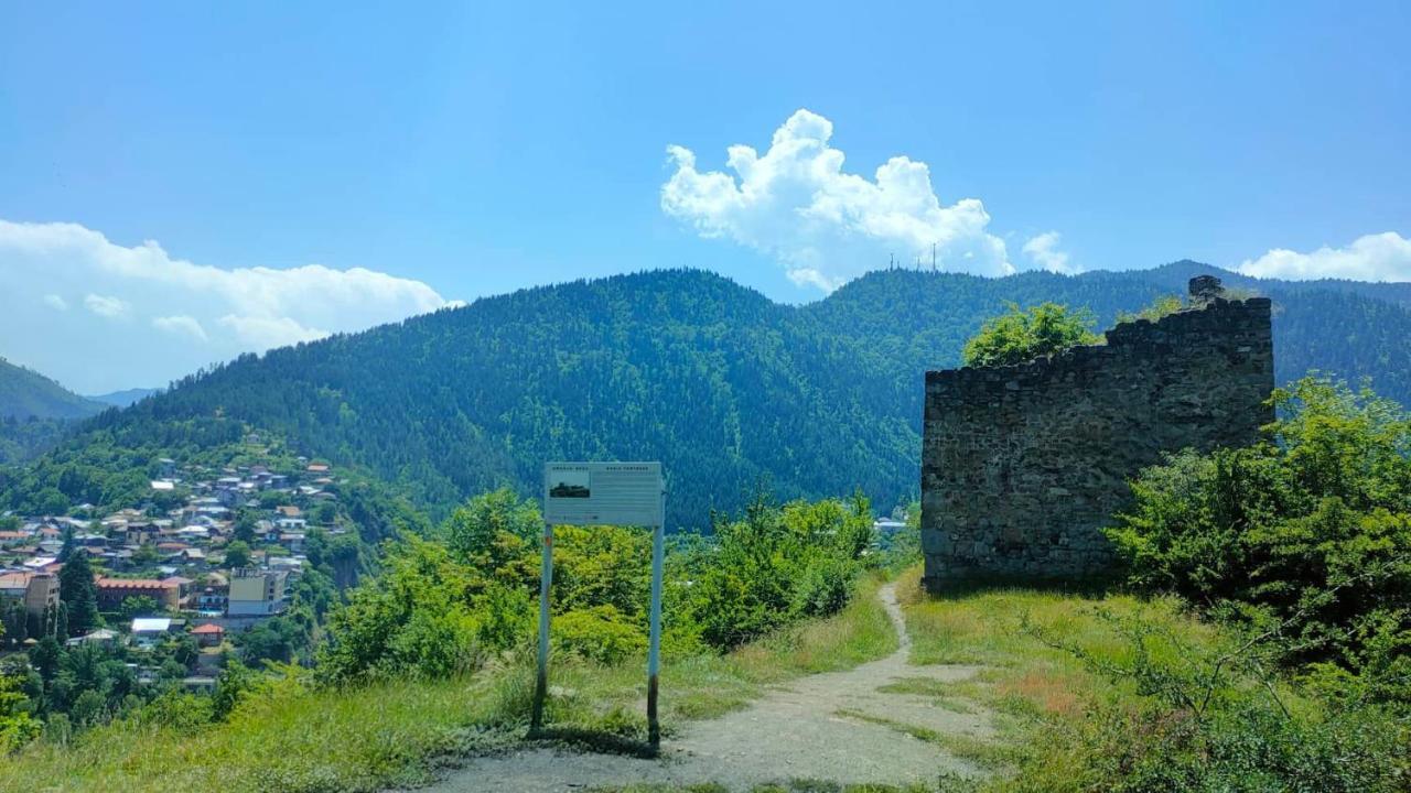 Guest House Gogias Cixe Borjomi Eksteriør billede