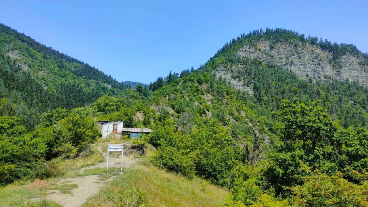 Guest House Gogias Cixe Borjomi Eksteriør billede