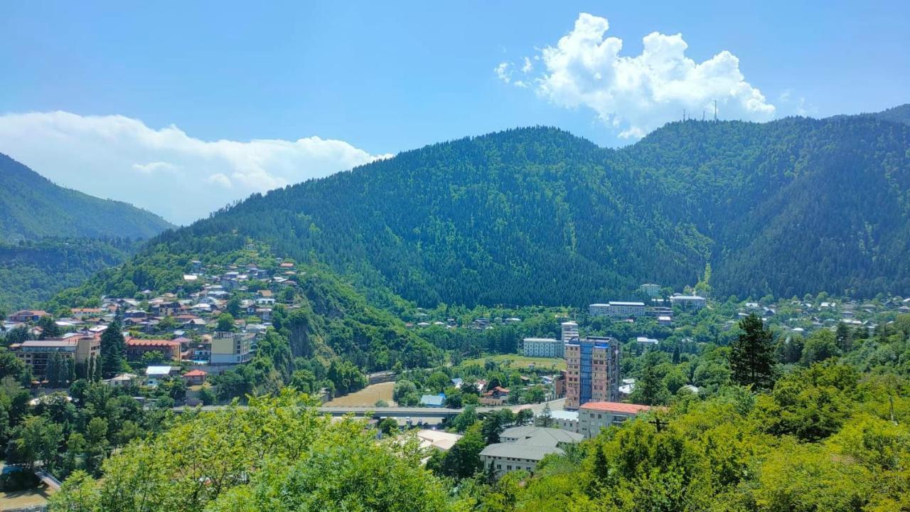 Guest House Gogias Cixe Borjomi Eksteriør billede