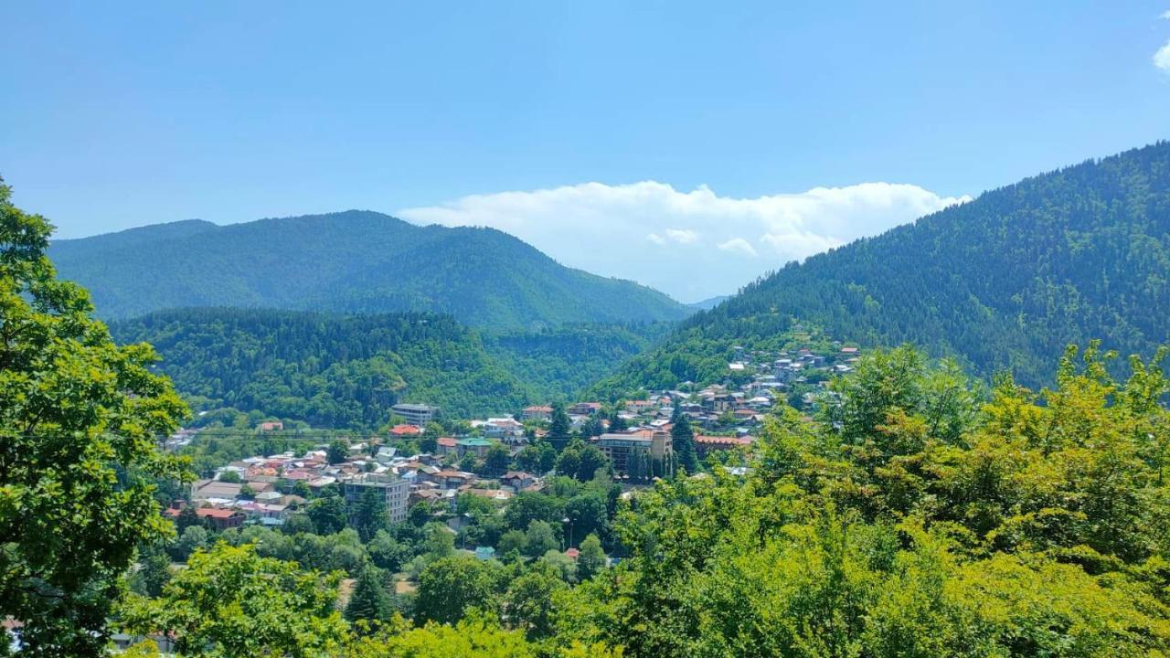 Guest House Gogias Cixe Borjomi Eksteriør billede