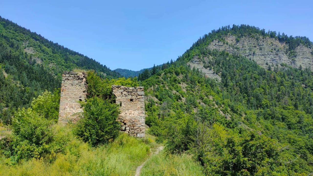 Guest House Gogias Cixe Borjomi Eksteriør billede