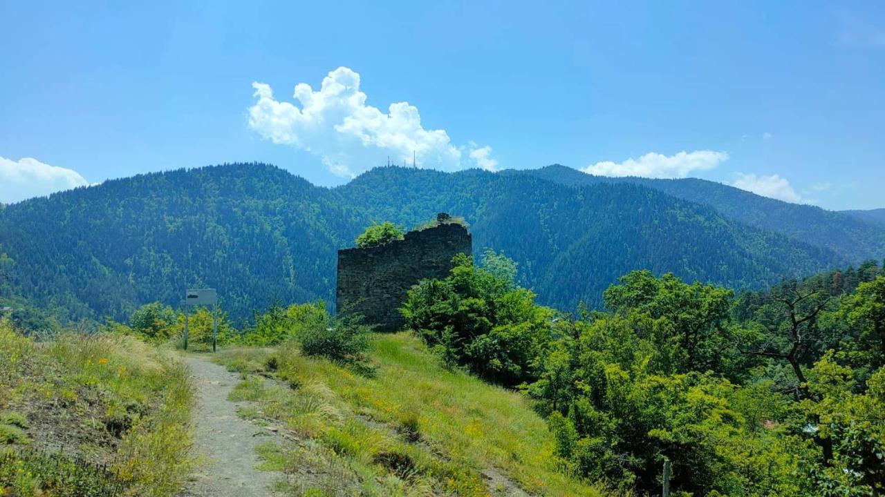 Guest House Gogias Cixe Borjomi Eksteriør billede